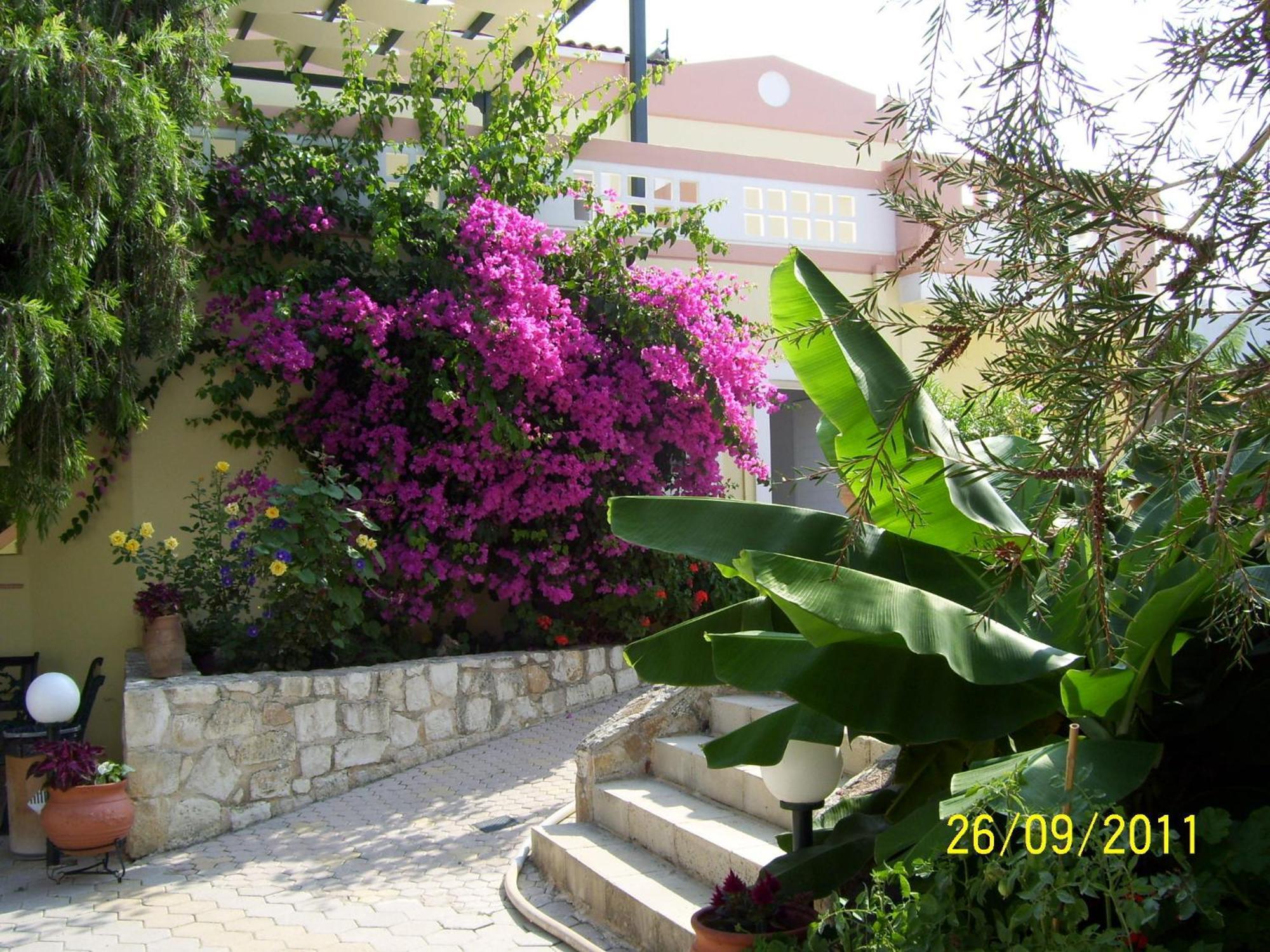 Apelia Residence Agia Marina  Exterior photo